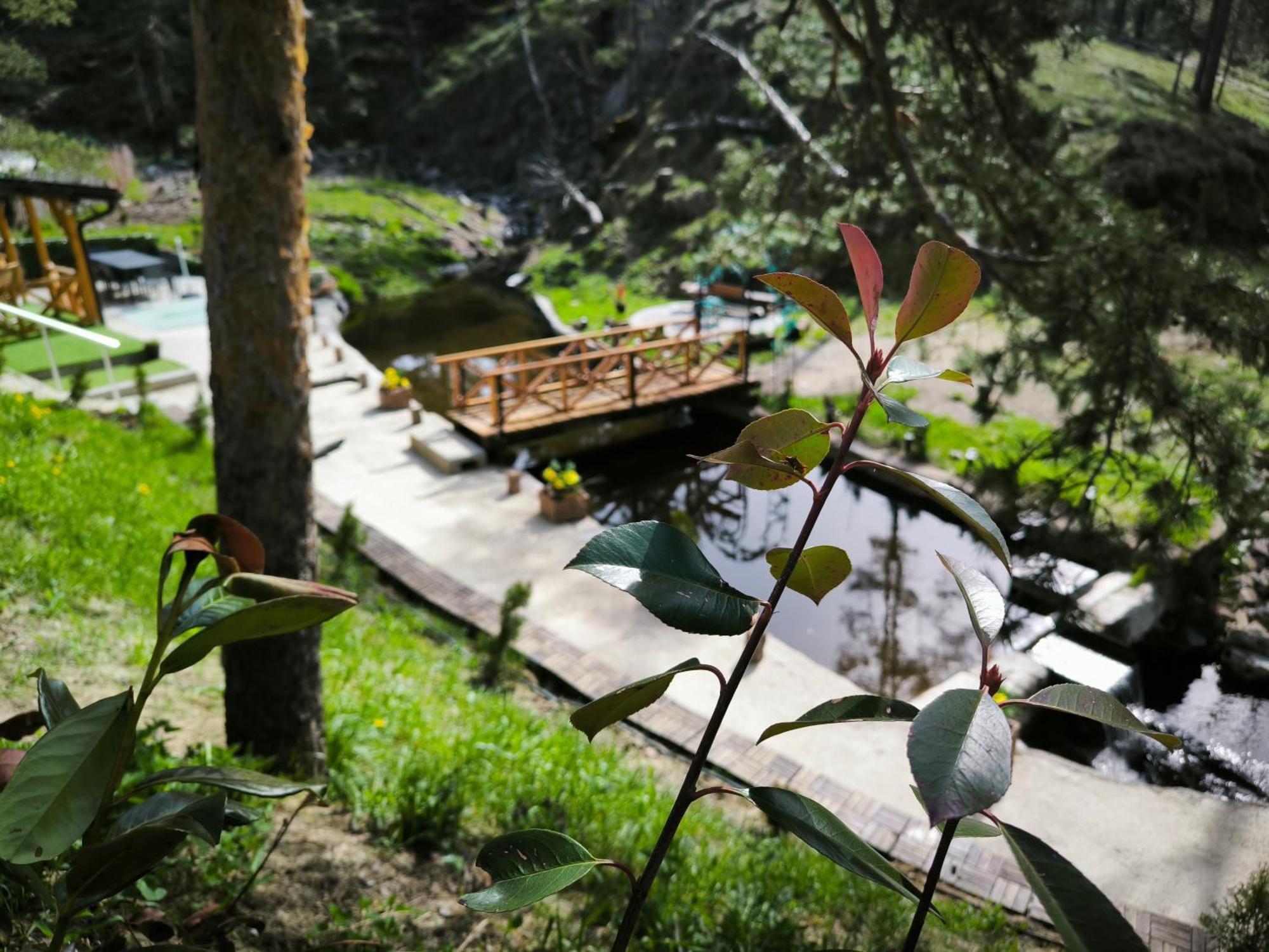 Vila Pogled Wellness I Spa Divcibare Ngoại thất bức ảnh